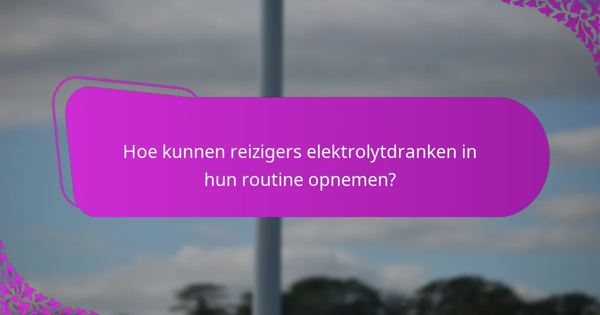 Hoe kunnen reizigers elektrolytdranken in hun routine opnemen?